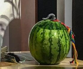 免费吃瓜活动详情,揭秘活动详情大揭秘！