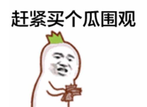惶恐吃瓜表情包,揭秘网络表情包背后的社会现象