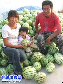 吃瓜的家庭,揭秘日常生活中的欢乐与矛盾