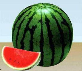 吃瓜的家庭,揭秘日常生活中的欢乐与矛盾