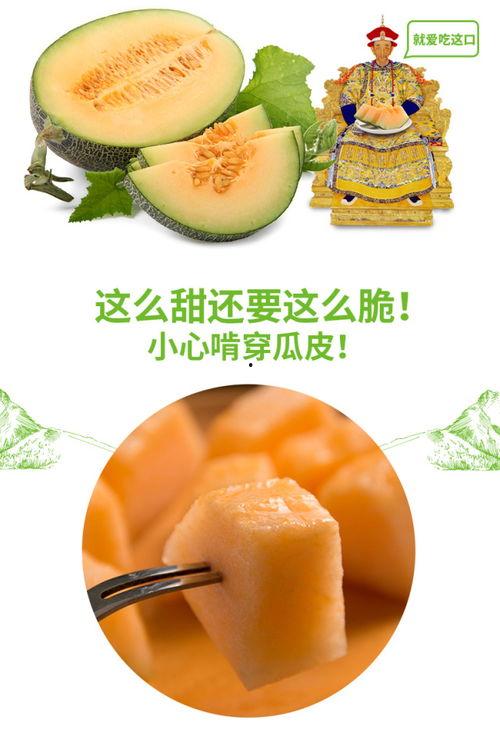吃黑金蜜瓜,甜蜜诱惑，品味非凡的果界珍品