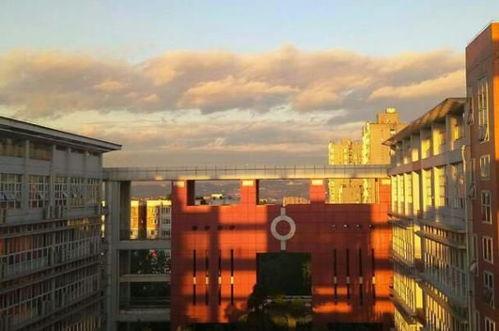 博学楼吃瓜,揭秘校园里的那些“瓜”