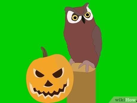 松鼠吃瓜都难吃,揭秘动物饮食之谜