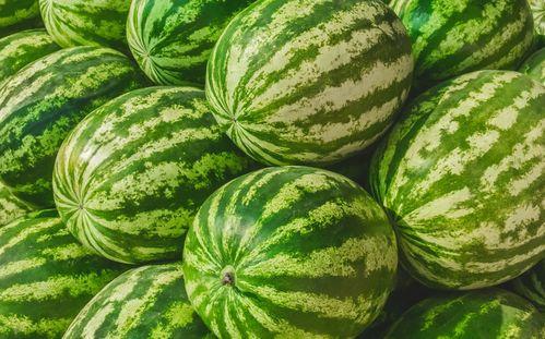 吃瓜教室里,揭秘娱乐圈幕后故事