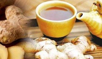 冬吃萝卜夏吃瓜的谚语,冬萝卜夏瓜,养生之道