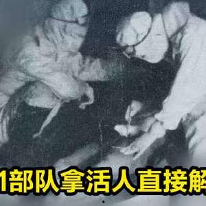 吃瓜活人解剖,一场惊心动魄的医学探秘之旅