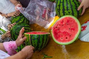 在家吃瓜了吗视频,一场网络热度的背后故事