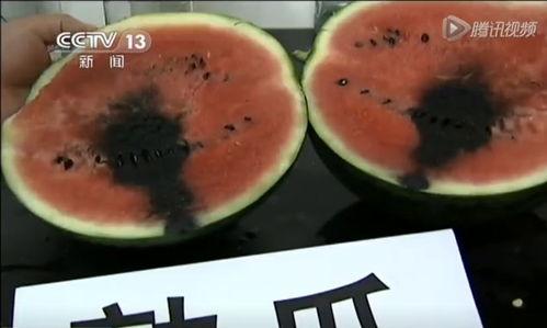 在家吃瓜了吗视频,一场网络热度的背后故事