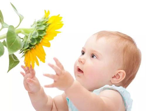 小孩吃蒲瓜过敏吗,过敏风险知多少?