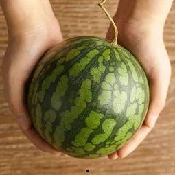 换儿吃瓜,揭秘育儿界的另类现象