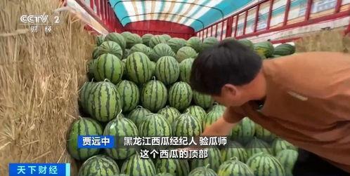 艾语吃瓜,揭秘娱乐圈的甜蜜与苦涩