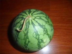 老的拉瓜怎么吃,探索传统美食的全新风味