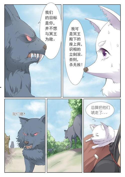 狐狸吃瓜群众,揭秘网络舆论场的众生相