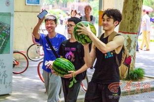 西北农林大学吃瓜,揭秘校园里的“吃瓜”文化现象”