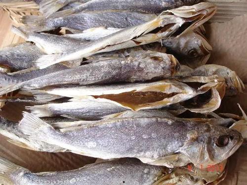 吃瓜22501咸鱼之王,吃瓜群众的狂欢盛宴