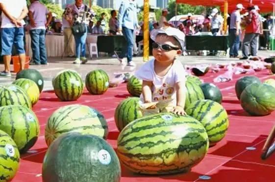 吃瓜比赛攻略,瓜界达人吃瓜比赛攻略全解析