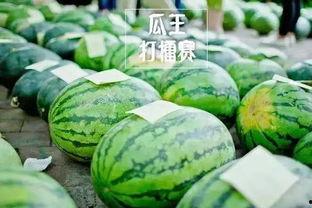 平川中恒吃瓜比赛