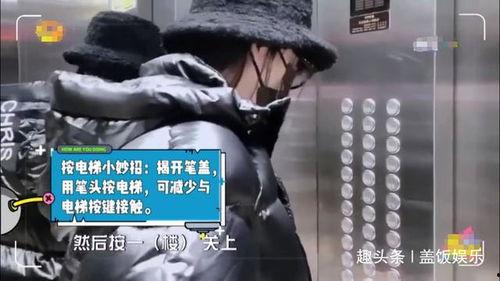 生活就是吃瓜视频,揭秘“吃瓜视频”背后的趣味人生