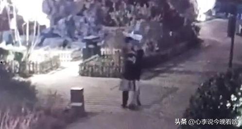 河南吃瓜视频曝光,揭秘当地独特美食文化