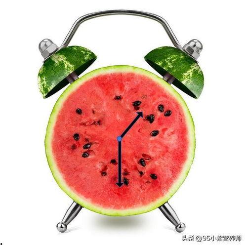 快乐吃瓜贴纸,趣味生活贴纸集锦