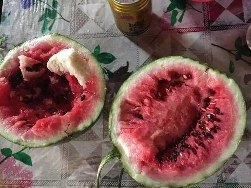 民勤人吃瓜视频